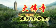 XX艹爽X艹A级X片中国浙江-新昌大佛寺旅游风景区